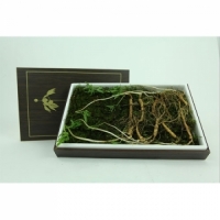 7년근 산양삼 10뿌리