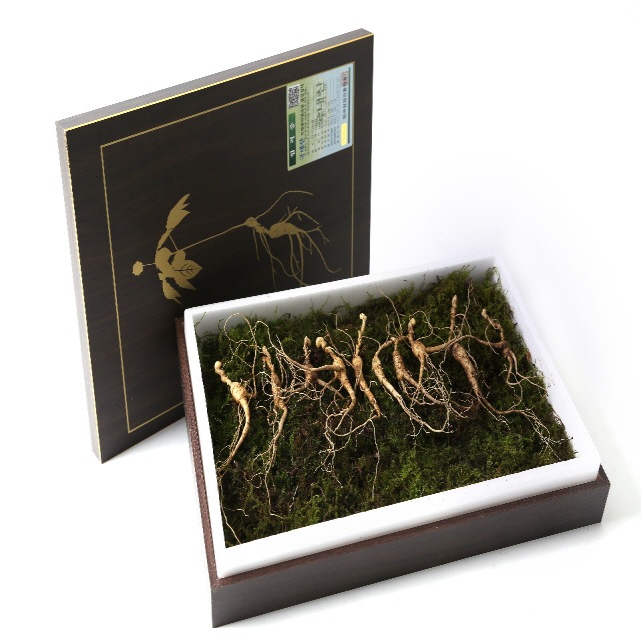 썸네일(스크롤)